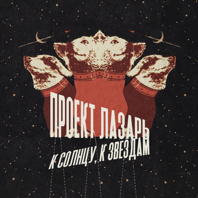 К солнцу, к звездам cover art