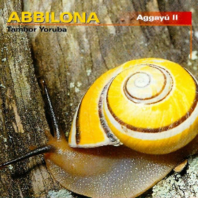 Abbilona & Tambor Yoruba