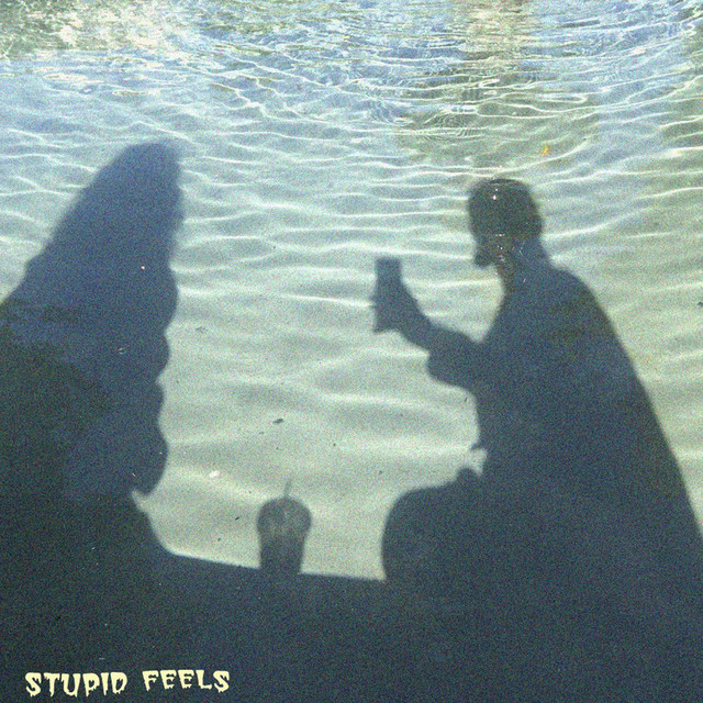 Stupid Feels cover art