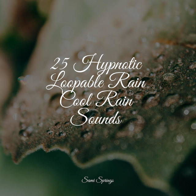 25 Hypnotic Loopable Rain Cool Rain Sounds - Album by Loopable Rain ...