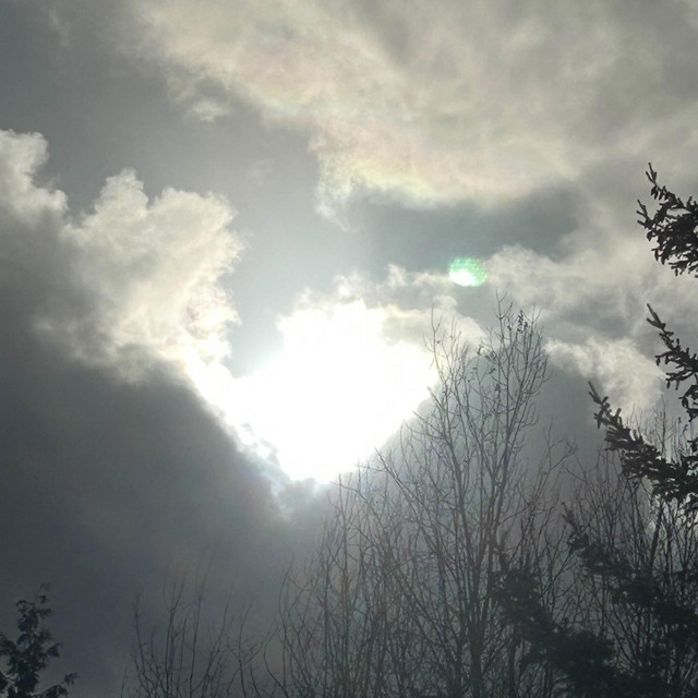Chase The Light