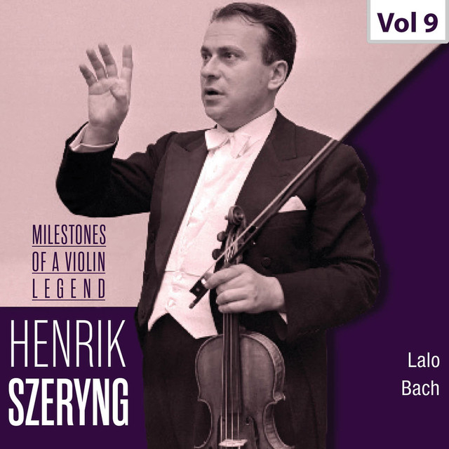 Violin Sonata No. 3 in C Major, BWV 1005: III. Largo