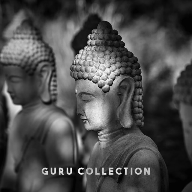 Guru Collection cover art