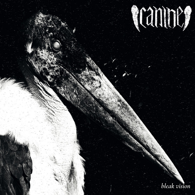 Bleak Vision cover art