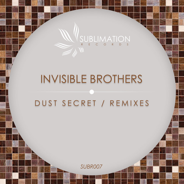 Dust Secret (Remixes) cover art