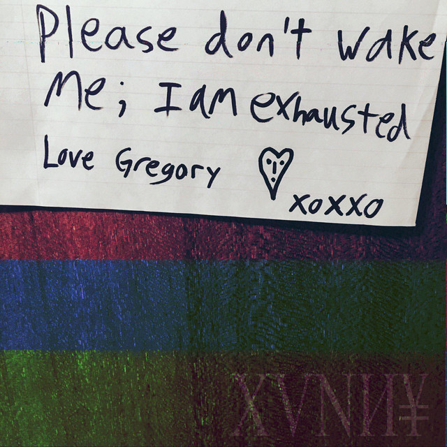 Please Don't Wake Me, I Am Exhausted cover art