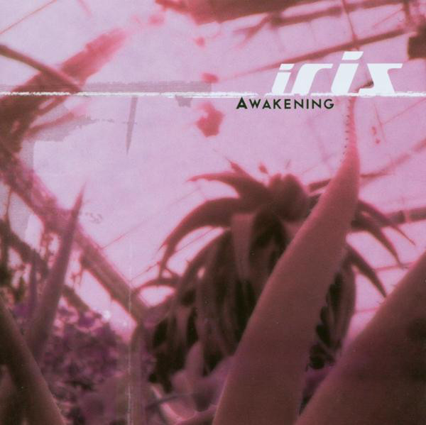 Awakening cover art