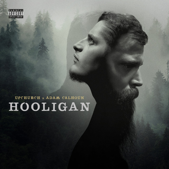 Hooligan cover art