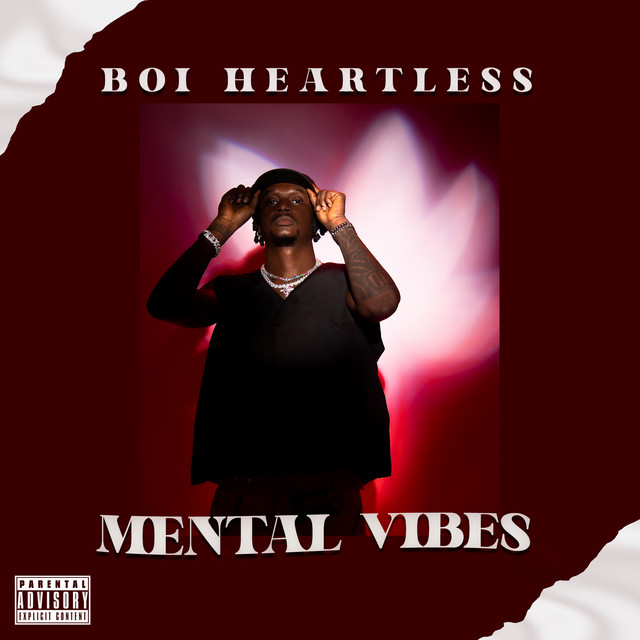 Mental Vibes cover art