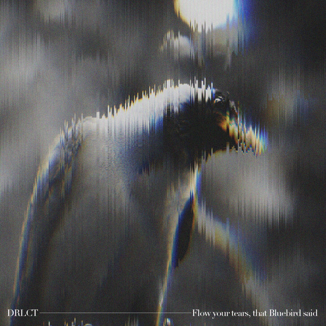 Flow your Tears, that Bluebird said (single)