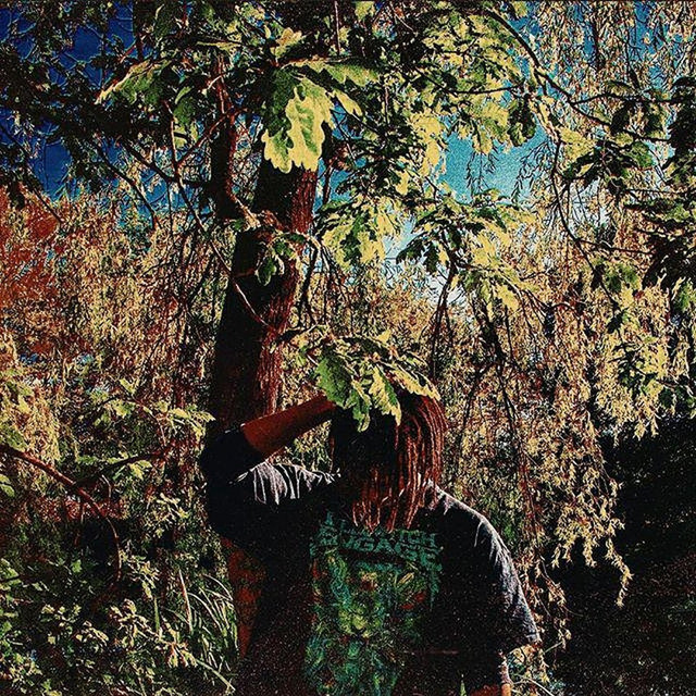 Summer's End cover art