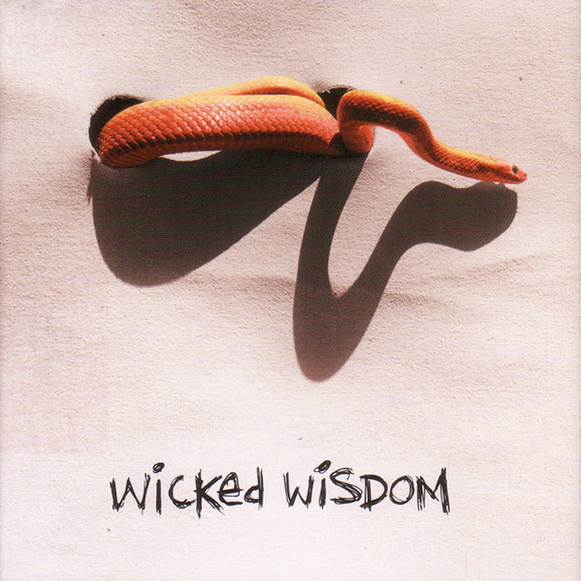 Wicked Wisdom cover art
