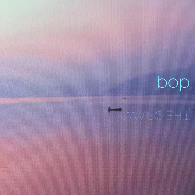 Holster cover art