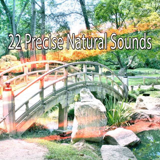 22 Precise Natural Sounds - Album by Pro Sound Effects Library | Spotify