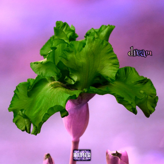 DREAM cover art