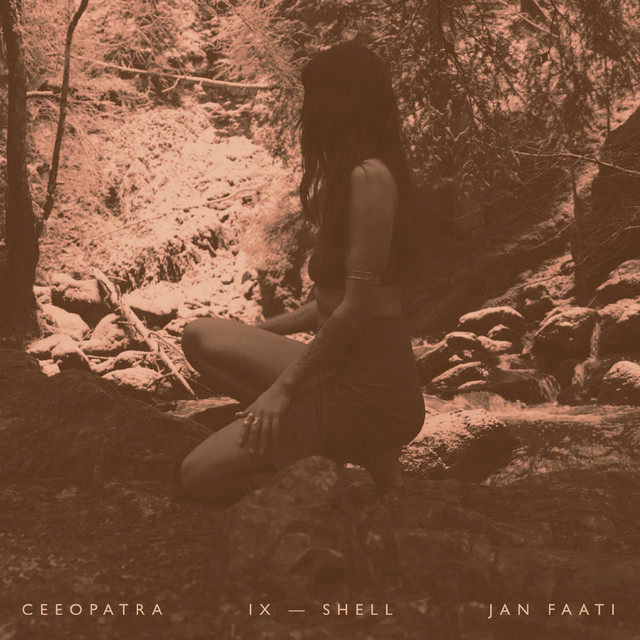 IX-Shell cover art