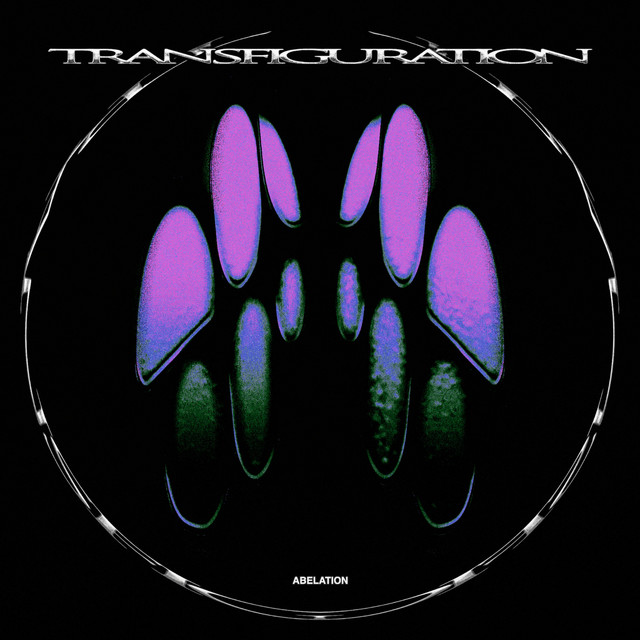 Transfiguration cover art