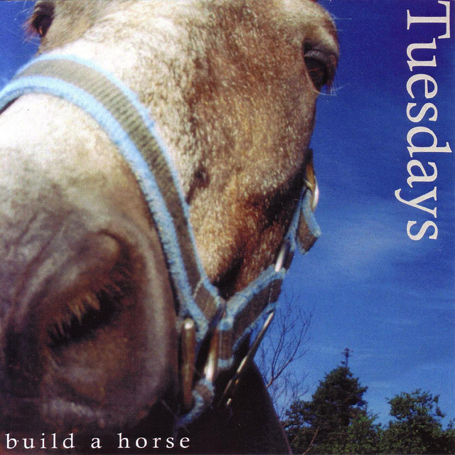 Build A Horse cover art
