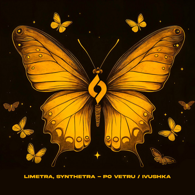 Po Vetru - Extended Mix album art