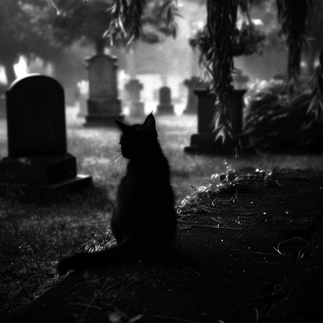 GRAVEYARD (HARDTEKK)