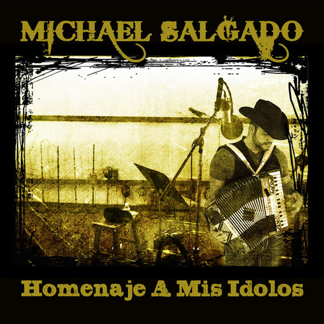 Homenaje A Mis Idolos cover art