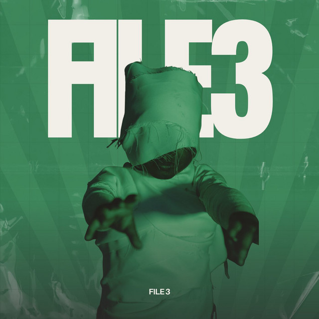 File_3 cover art