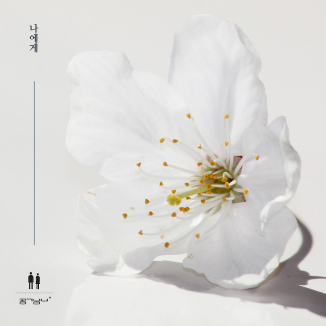 A Poem a Day (tvN DRAMA) OST Part.11 cover art