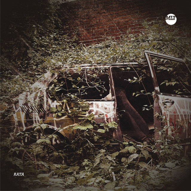 Blind Pianist cover art