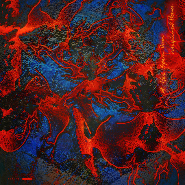 Disciplined Havoc LP cover art