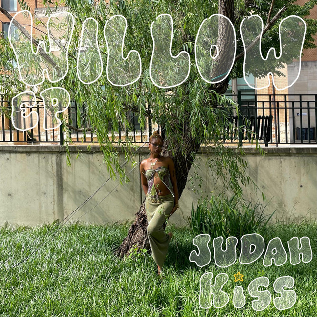 willow cover art