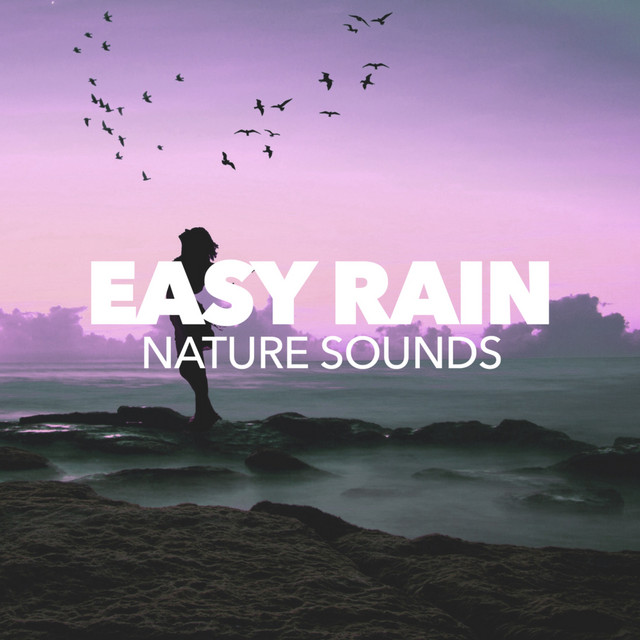 Easy Rain cover art