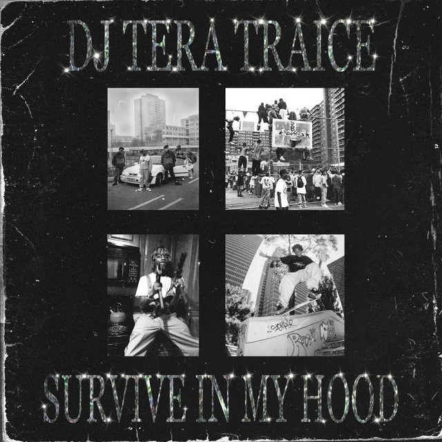 Cover art: SURVIVE IN MY HOOD — DJ TERA TRAICE