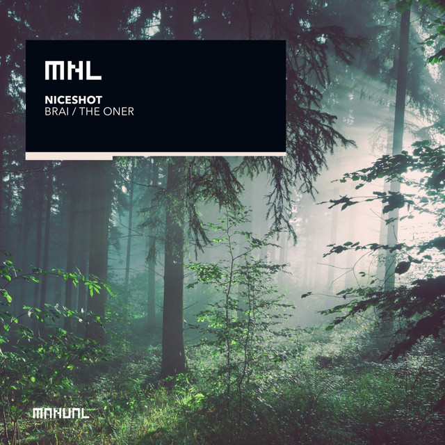 Brai album art