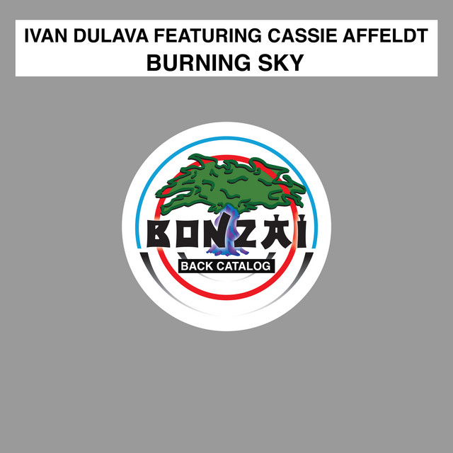 Burning Sky - Tech Dub cover art