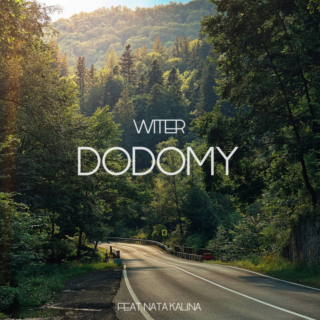 Обкладинка: Dodomy — WITER