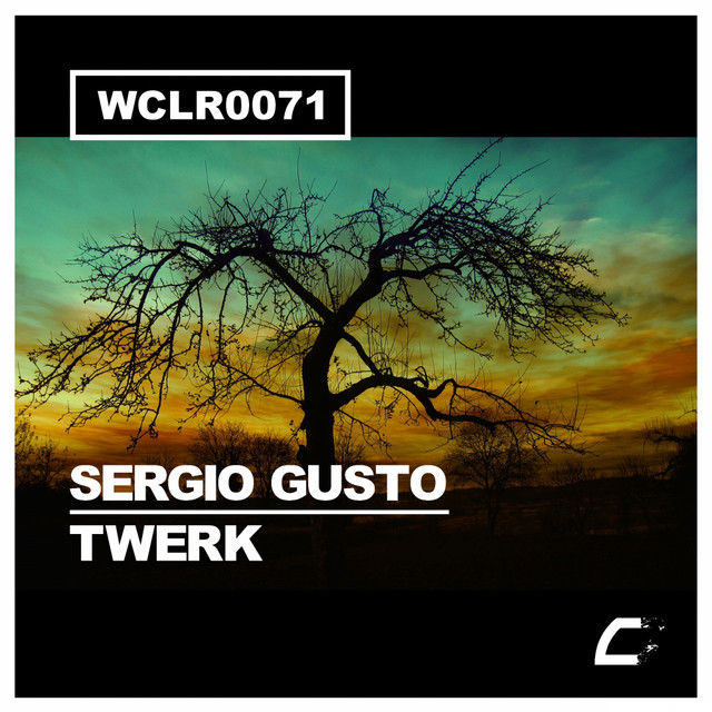 Обкладинка: Twerk - Original Mix — Sergio Gusto