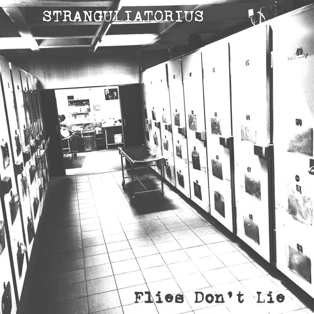 Flies Dont Lie cover art