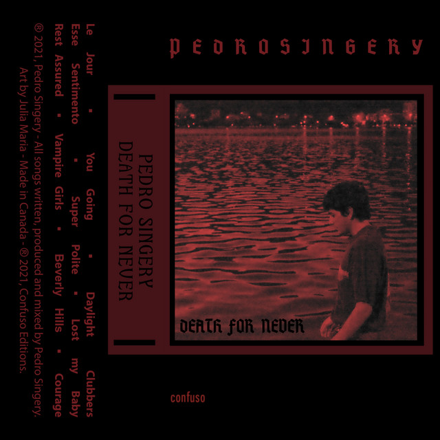 Death For Never cover art