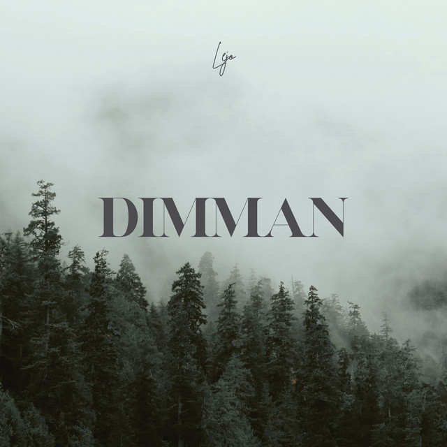 Cover of Dimman by Lejo