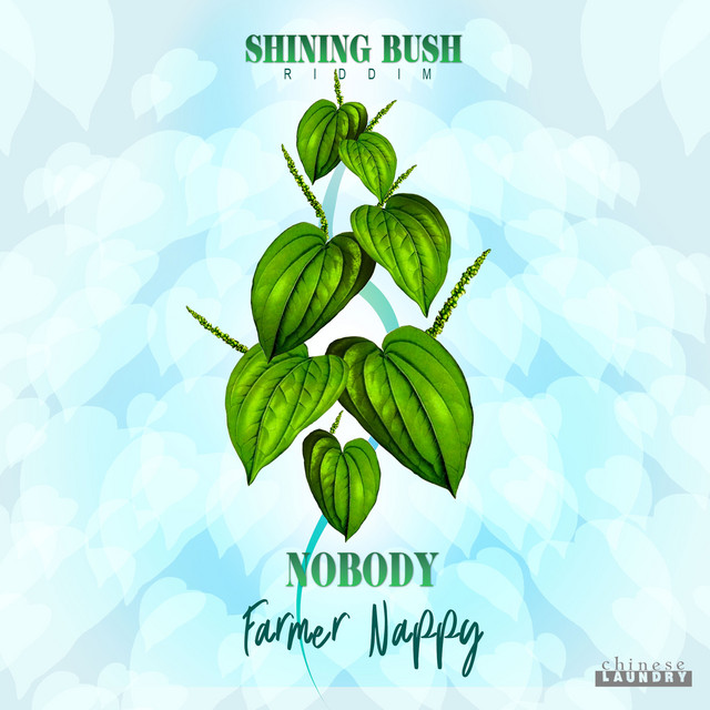 Nobody
