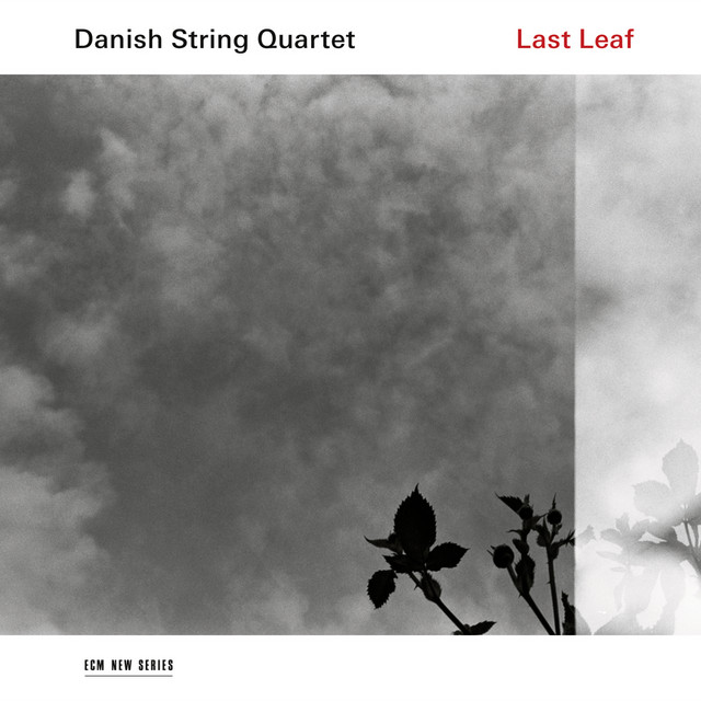 Tjønneblomen (Arr. For String Quartet)