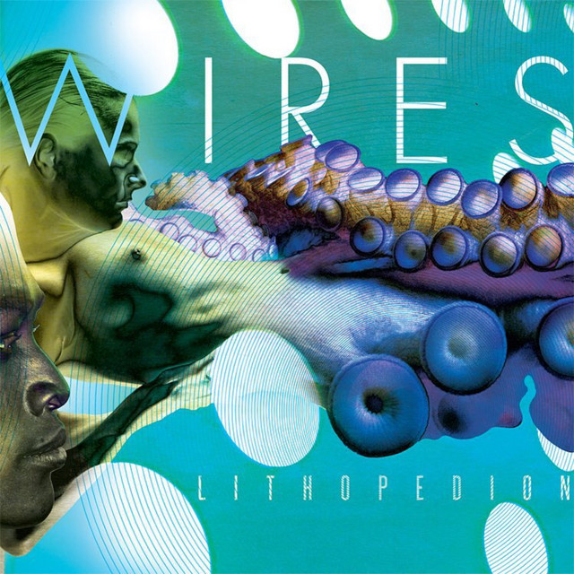 Lithopedion cover art