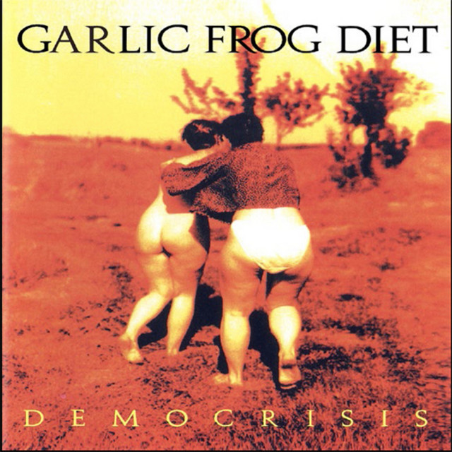 Democrisis cover