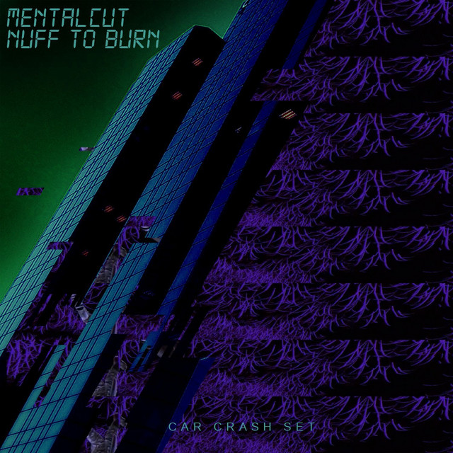 Nuff To Burn cover