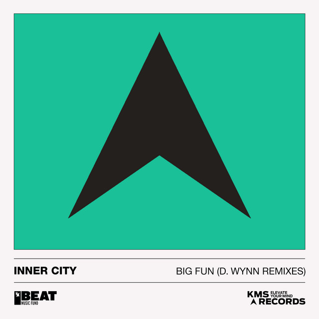 Big Fun (D. Wynn Remixes)
