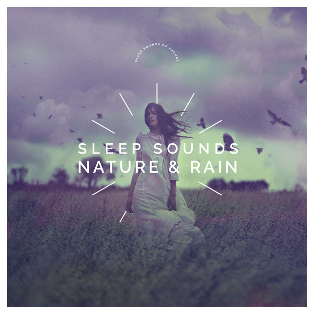 Sleep Sounds: Nature & Rain - Album by Sleep Sounds of Nature | Spotify