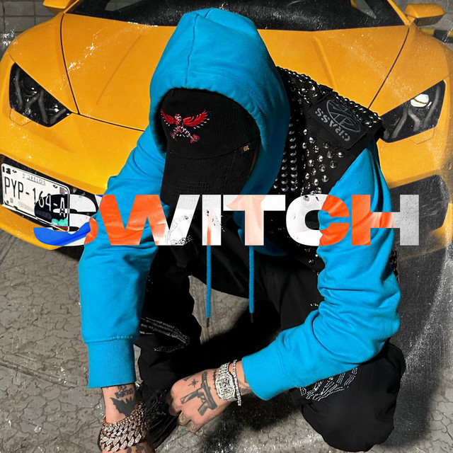 Switch cover art