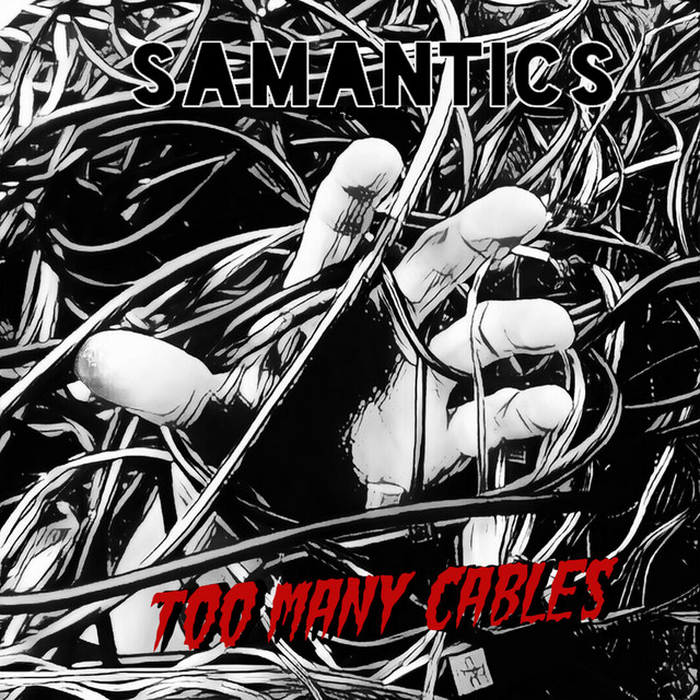 Too Many Cables cover art