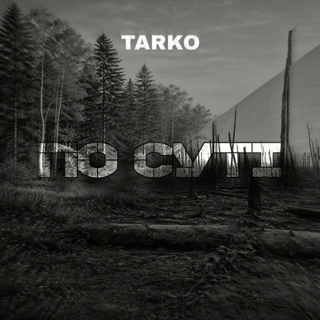 Обкладинка: По суті — Tarko