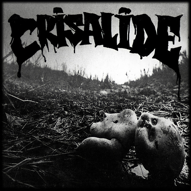Crisalide cover